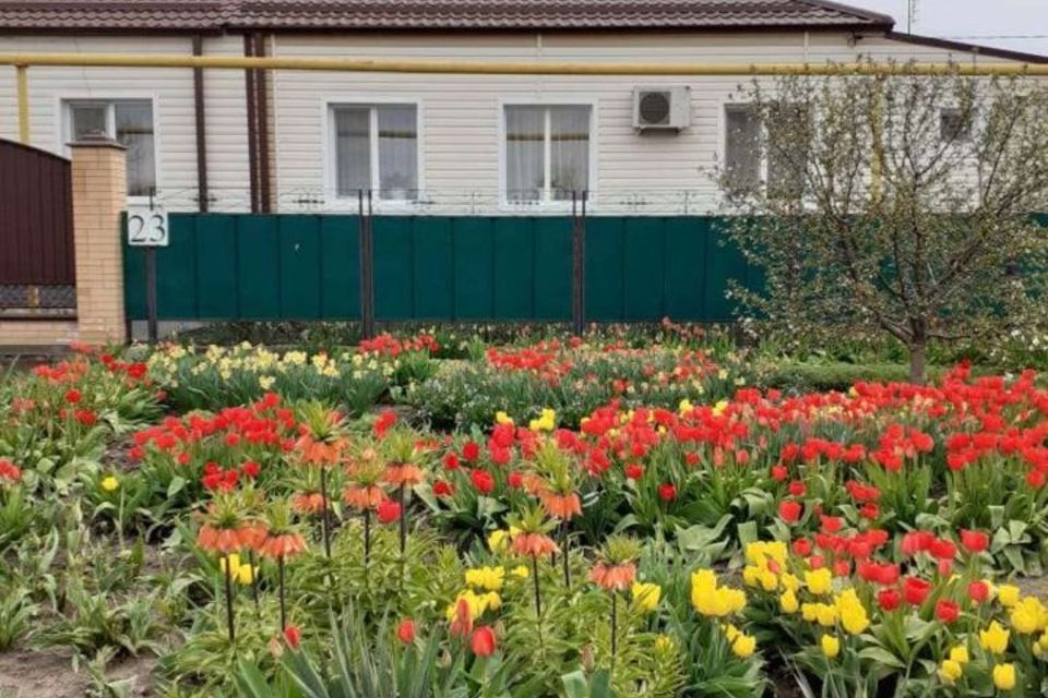 Поселок кубанская степь. Челбасская Краснодарский край. Поселок Кубанский Краснодарский край. Кубанская степь сквер.