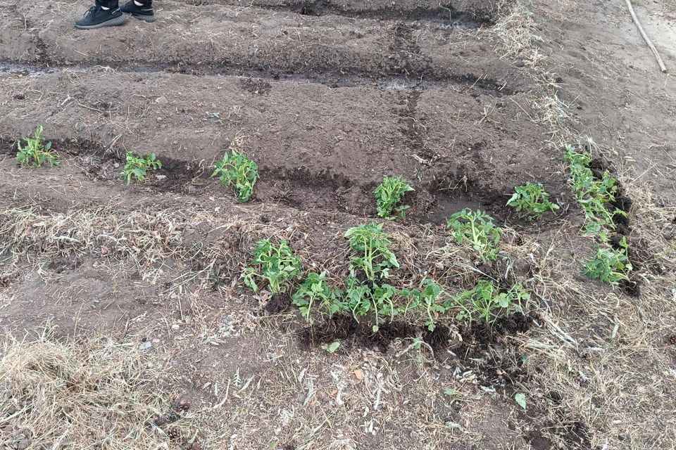 Продаётся участок, 6 сот., Садовый