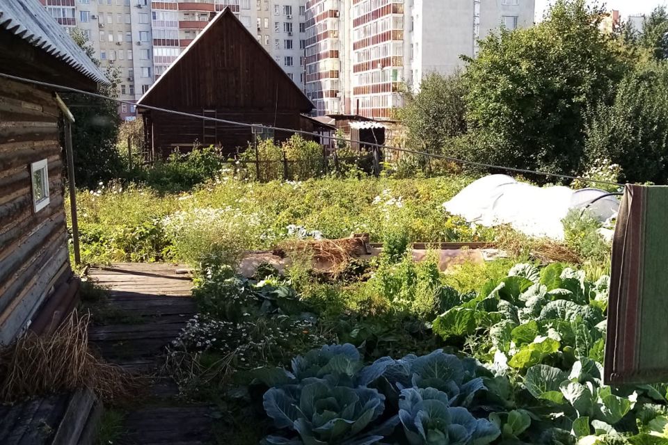 Не хозяин в собственном доме. Во время пандемии в Испании активизировались окупасы