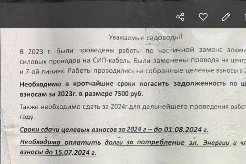 Как я два месяца жил в Узбекистане и почему не смог там остаться