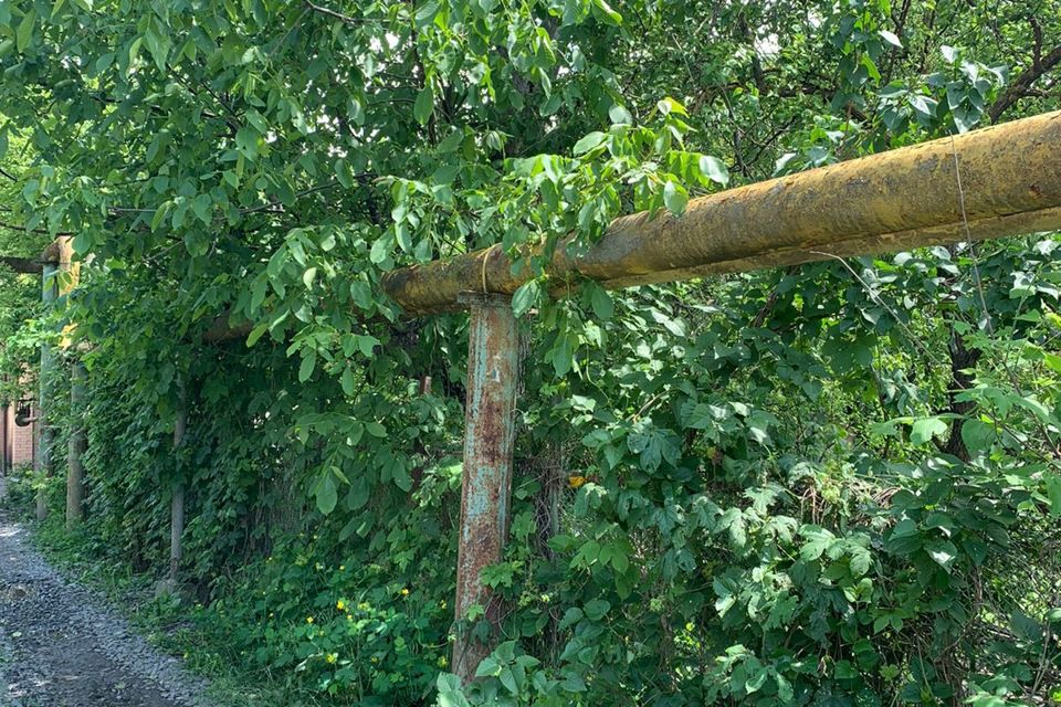 Снт скво ростов на дону