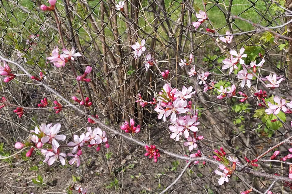 Продаётся 2-этажный дом, 40 м²