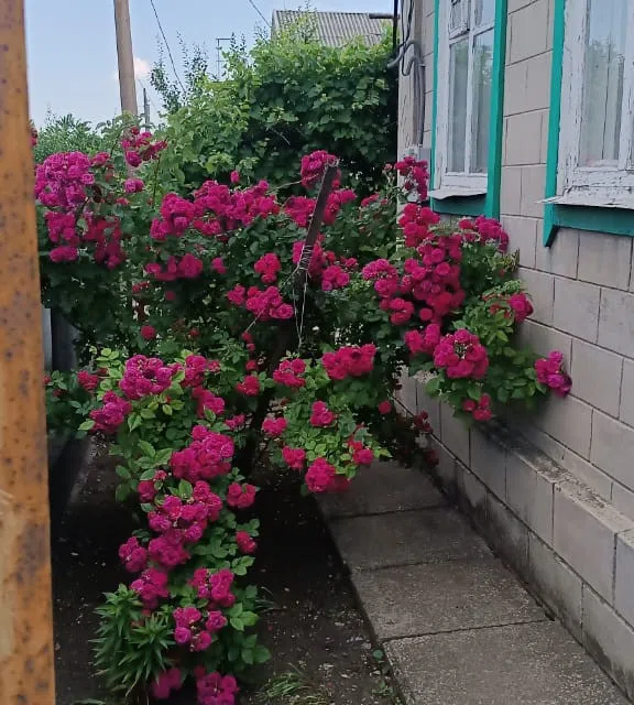 Продаётся 1-этажный дом, 52.8 м²
