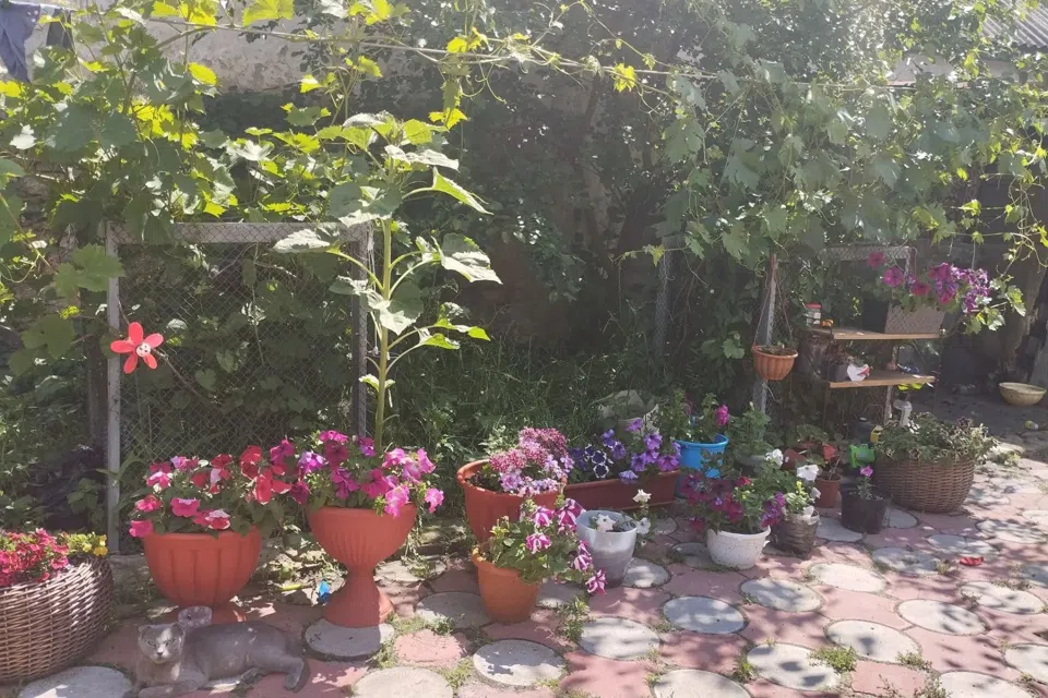 Продаётся 1-этажный дом, 75 м²