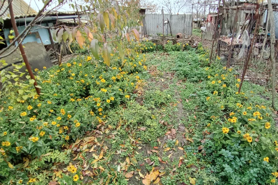 Продаётся 1-этажный дом, 62 м²