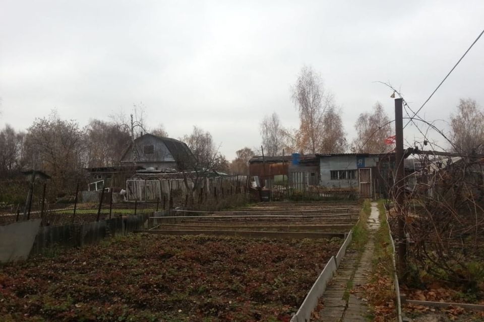 Участок 416 москвы. Карелия через поле. Участок 416 москвы. Шум ленинградская область. Участок 416 москвы.