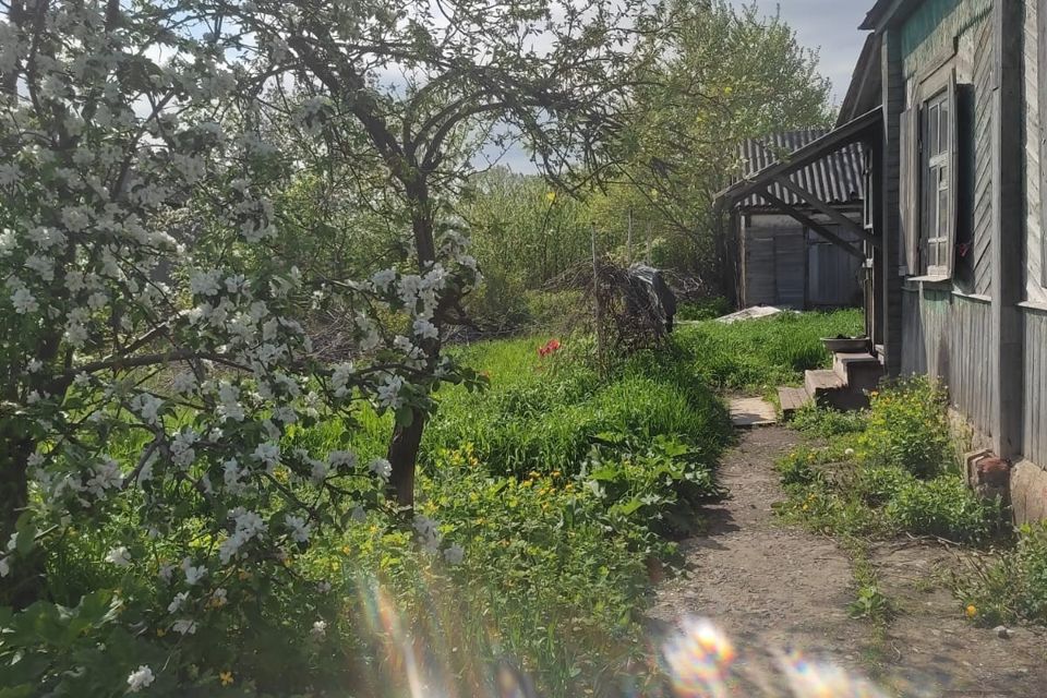 Купить Дом В Александровке Донской Воронежская Область