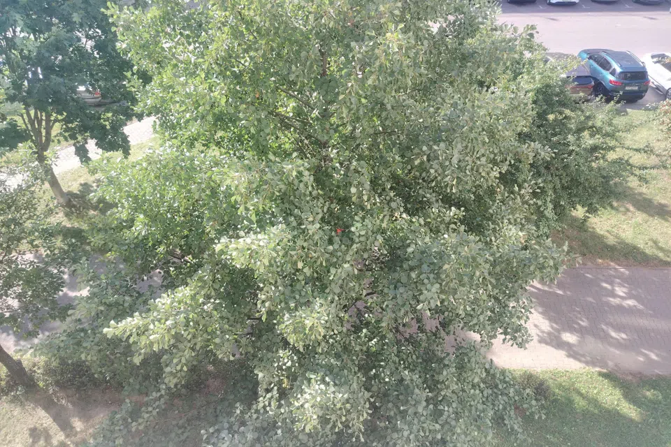 Продаётся 2-комнатная квартира, 42 м²