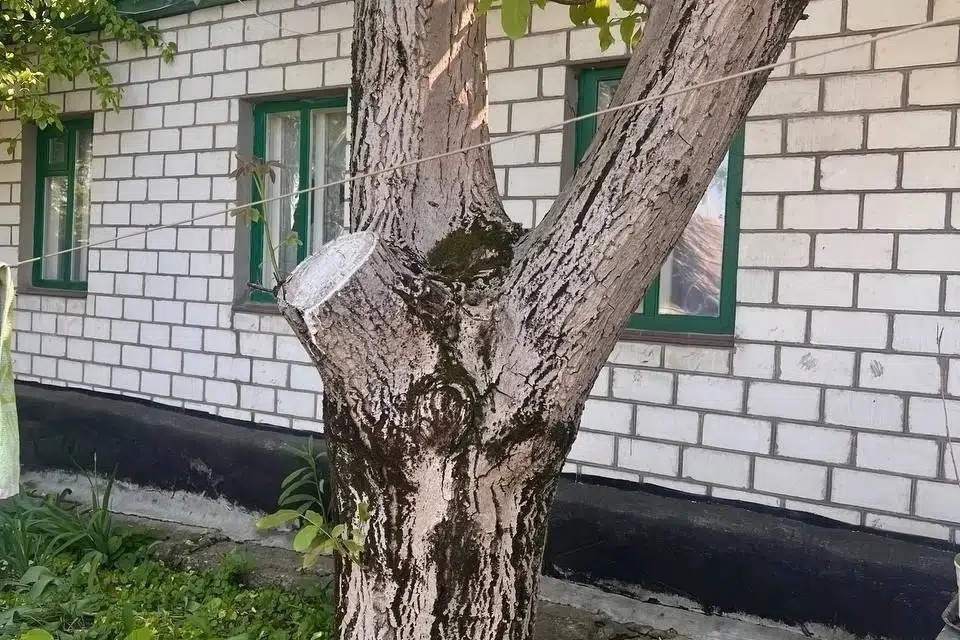 Продаётся 1-этажный дом, 83.7 м²