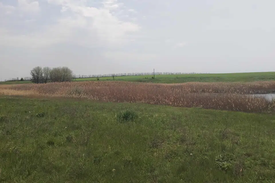 Продаётся участок, 500 сот., Фермерский