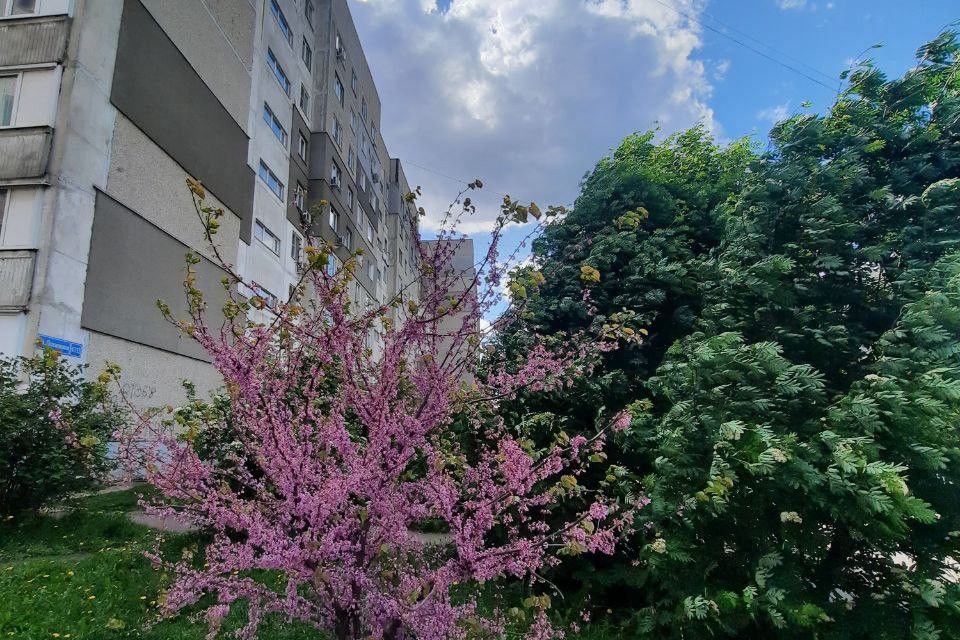 Продаётся 2-комнатная квартира, 53.5 м²