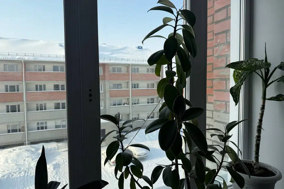 Продаётся 3-комнатная квартира, 53.03 м²