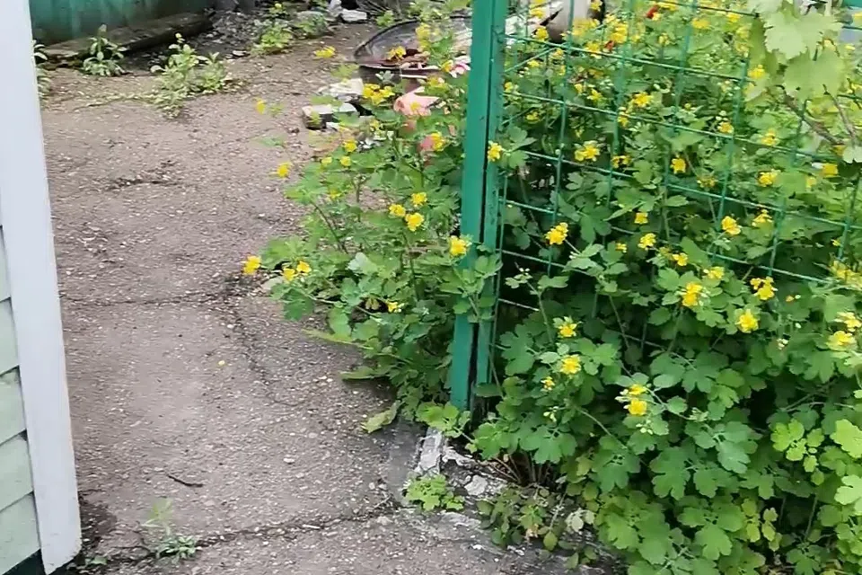 Продаётся 1-этажный дом, 64.9 м²