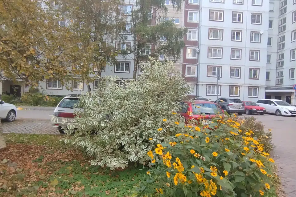 Продаётся 3-комнатная квартира, 61.6 м²