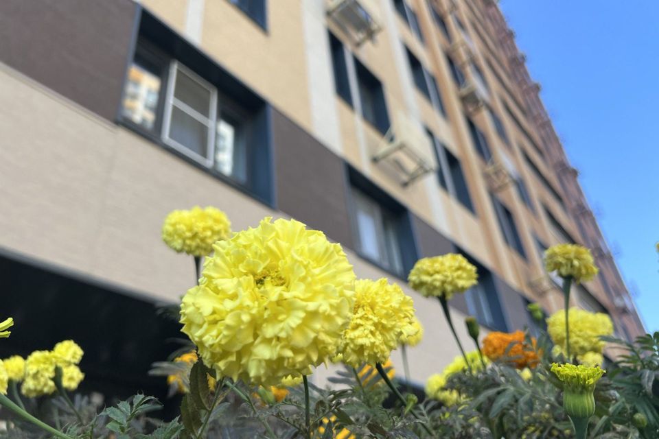 Продаётся 3-комнатная квартира, 63.8 м²