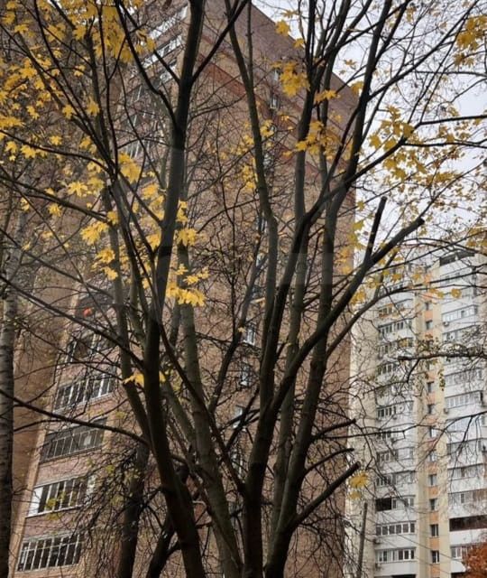 Продаётся 1-комнатная квартира, 31.2 м²