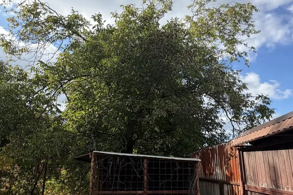 Продаётся 1-этажный дом, 50 м²