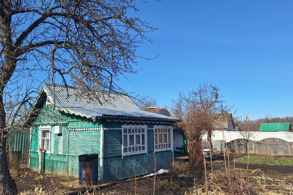 Купить Дачу В Новые Дарковичи Брянской Области