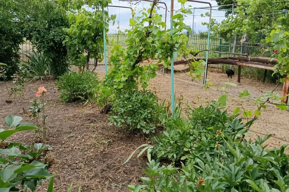 Продаётся 1-этажный дом, 65 м²
