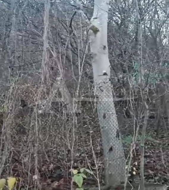 Купить Землю В Кисловодске Под Ижс