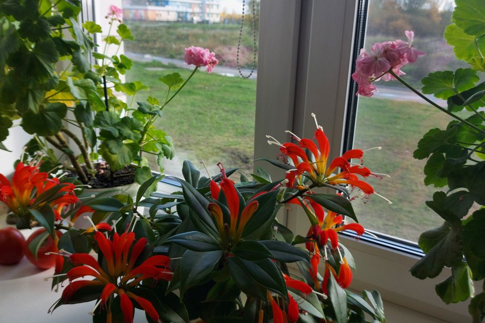 Продаётся 1-комнатная квартира, 47.6 м²