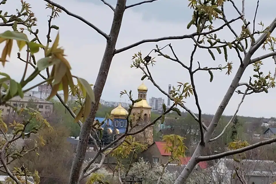 Продаётся 2-комнатная квартира, 40 м²