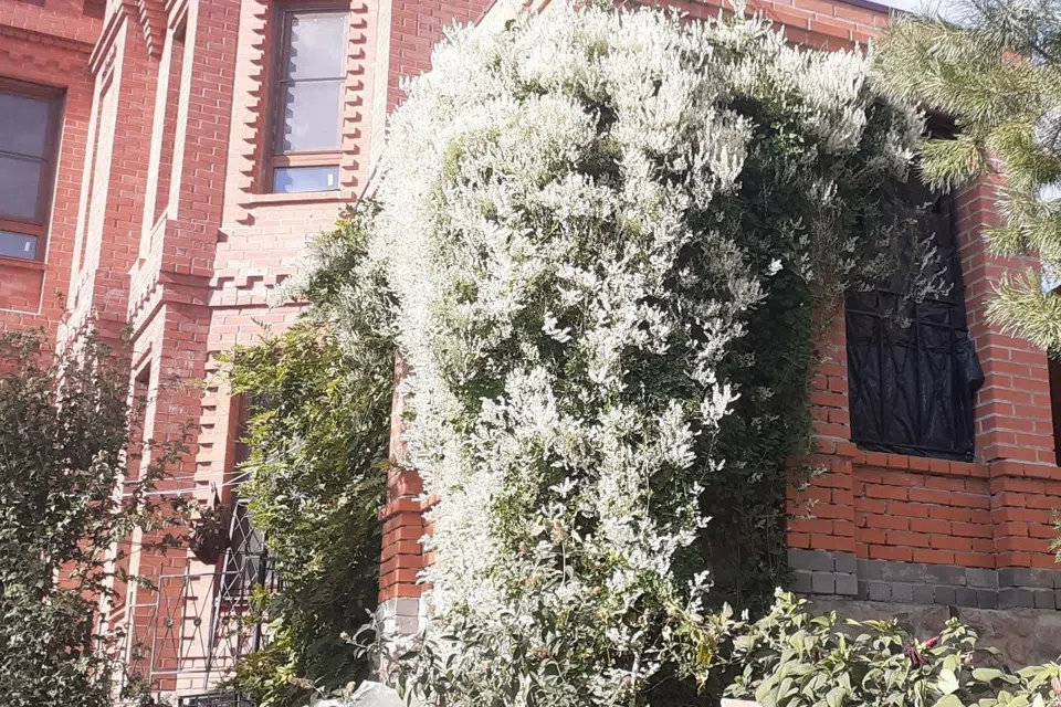 Продаётся 2-этажный дом, 111 м²
