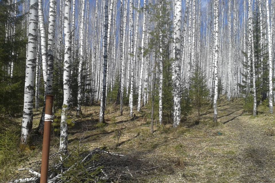 Купить Сад В Дегтярске Свердловской Области