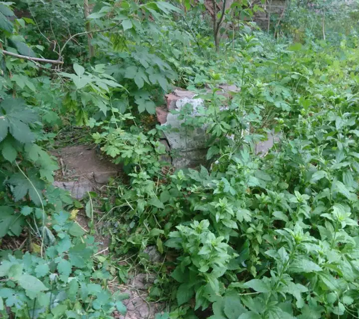 Продаётся участок, 5.96 сот., ИЖС