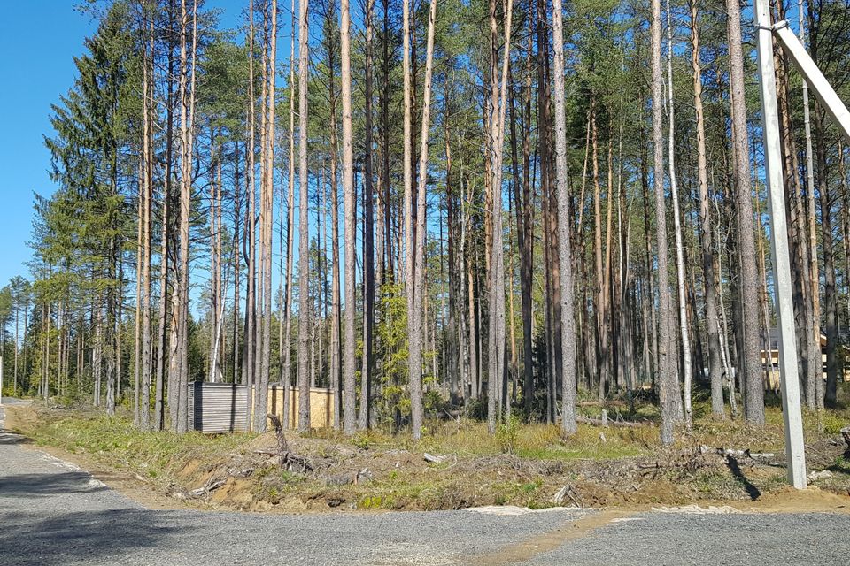 Купить Участок В Сосновом Лесу Ленинградской Области