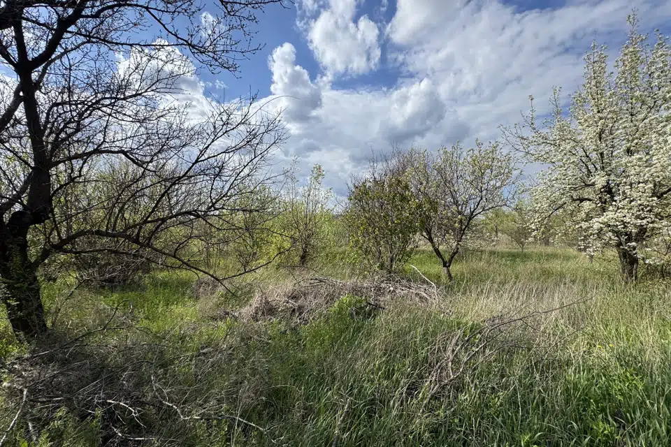 Сдаётся помещение своб. назначения, 120 м²