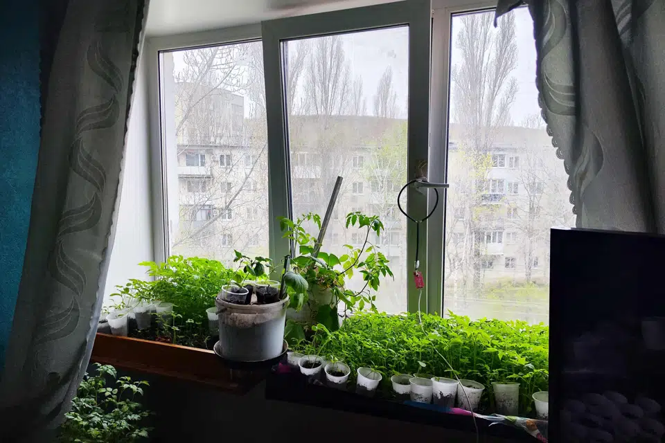 Продаётся студия, 13.8 м²