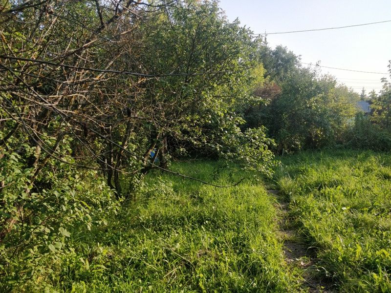 Купить Участок В Марушкино Москва