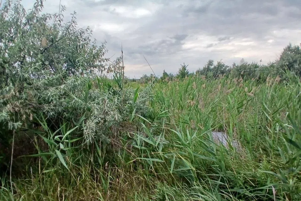 Продаётся участок, 10 сот., ИЖС