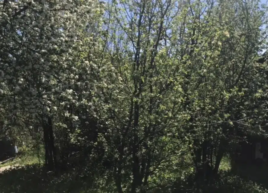Продаётся 2-этажный дом, 40 м²