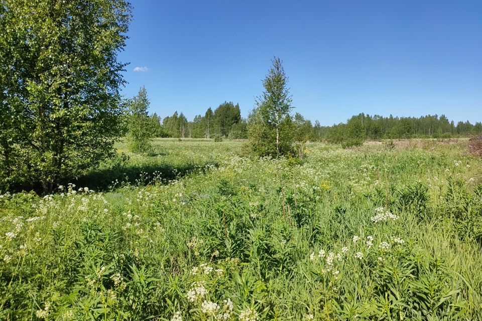 Купить Земельный Участок Череповецком Районе Вологодской Области