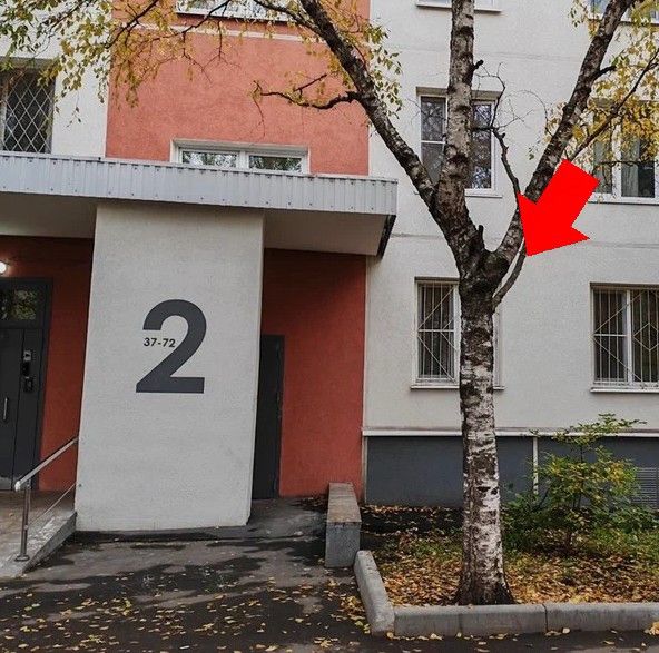 фото отбъекта