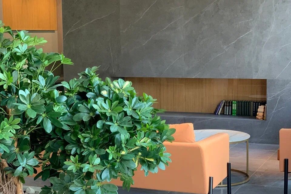 Продаётся студия, 43 м²