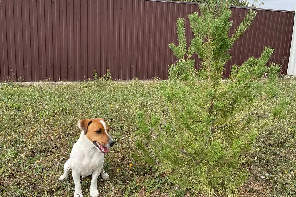 Продаётся 2-этажный дом, 72 м²