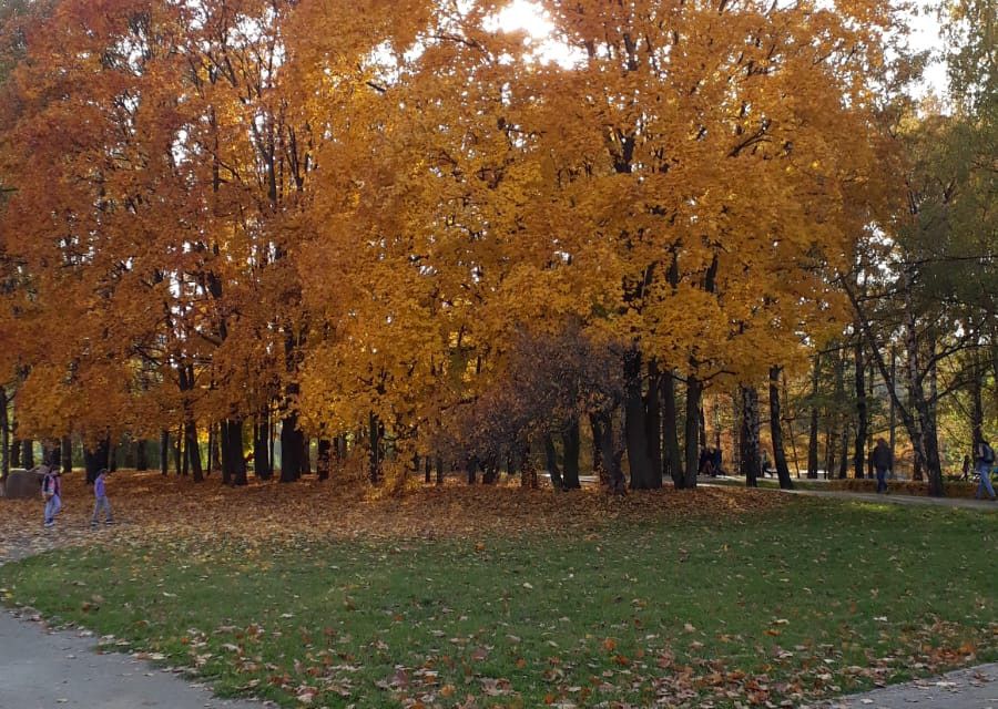 фото отбъекта