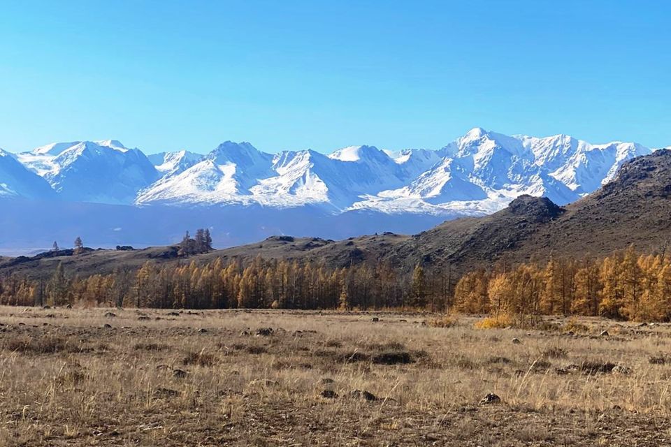 Село курай Кош Агачский район Республика Алтай