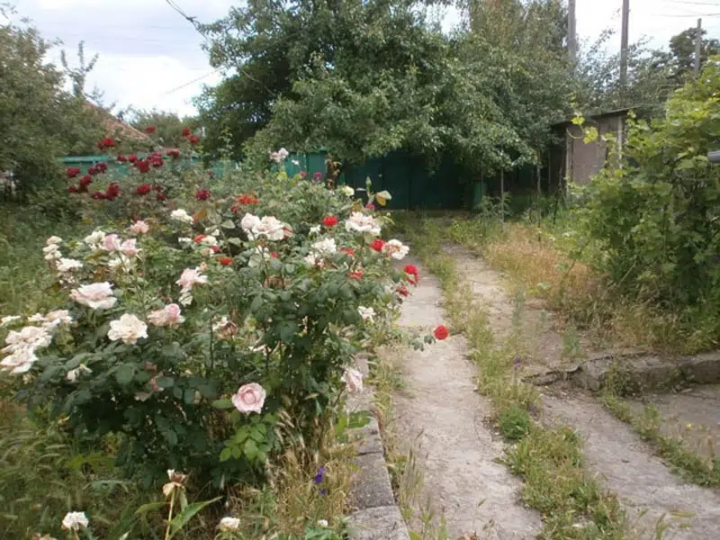 Продаётся 1-этажный дом, 67 м²