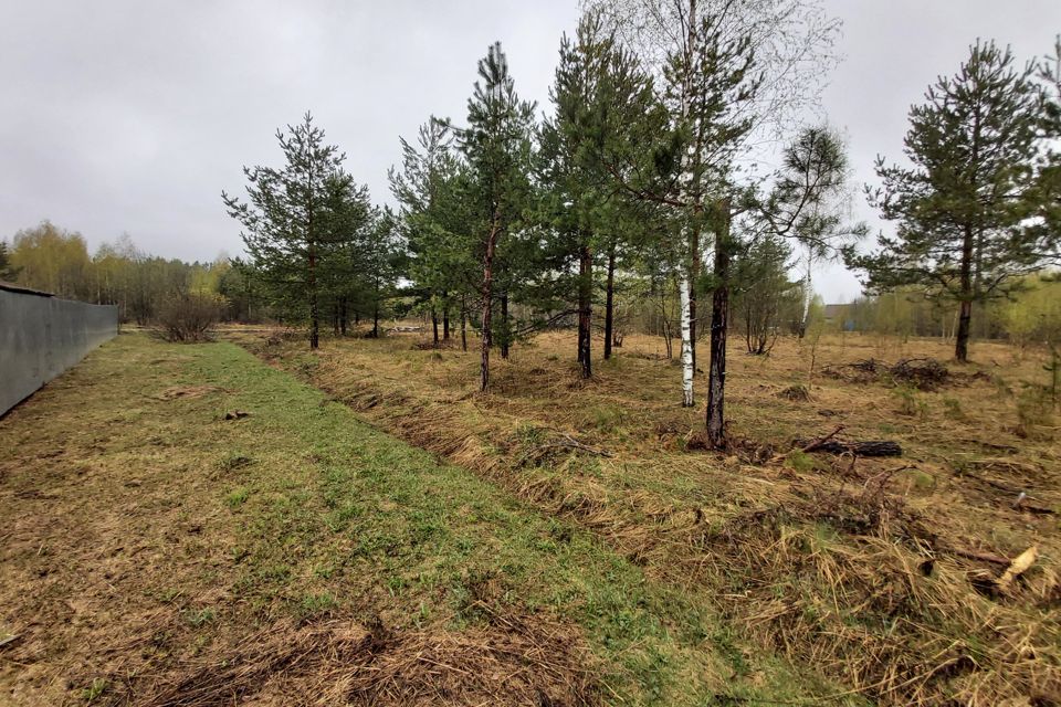 трутнево борский район. александровская земельные участки. деревня трутнево киржачский район. озеро каринское александровский район рыбалка. деревня соколово волоколамский район.