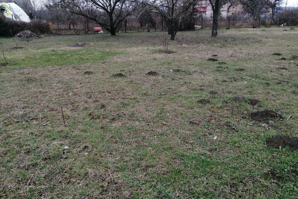 Купить Землю Ст Раевская Новороссийск