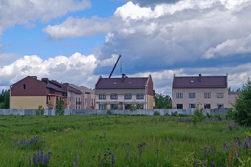 Беляницы ивановская область