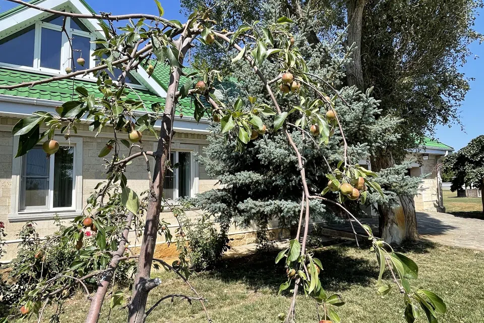 Продаётся 1-этажный дом, 245 м²