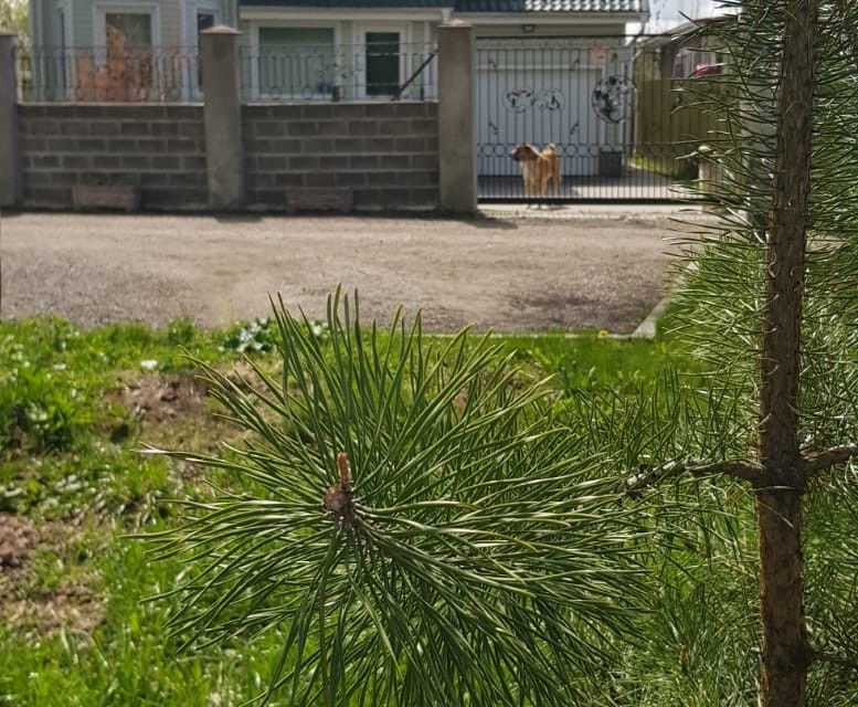 Купить Дом В Ленинском Районе Снт