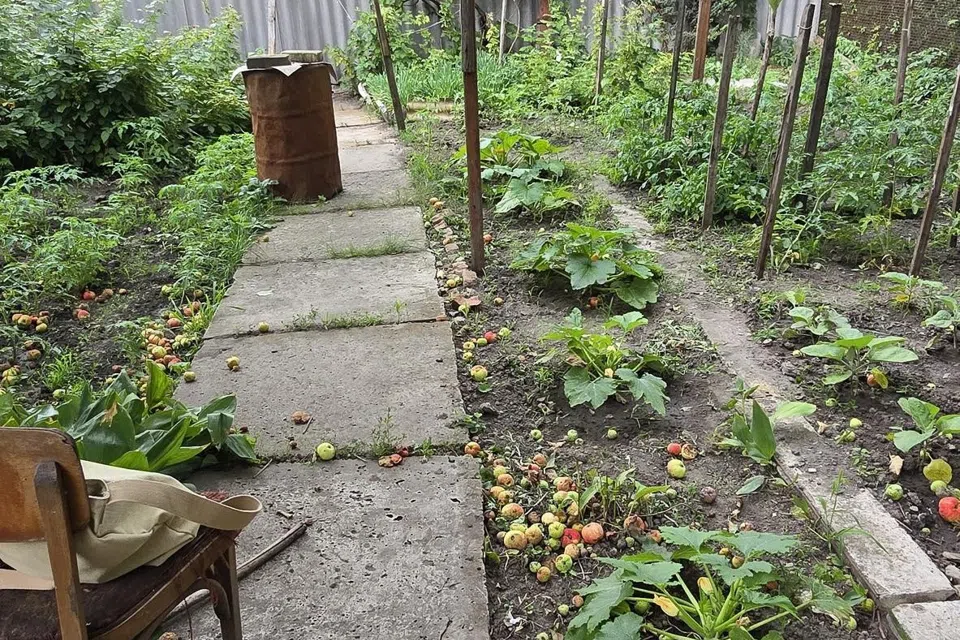 Продаётся 1-этажный дом, 40 м²