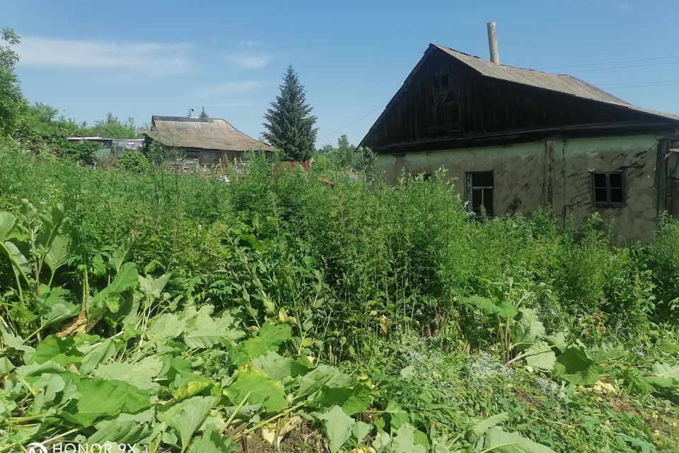 Курская нижнемедведицкий сельсовет