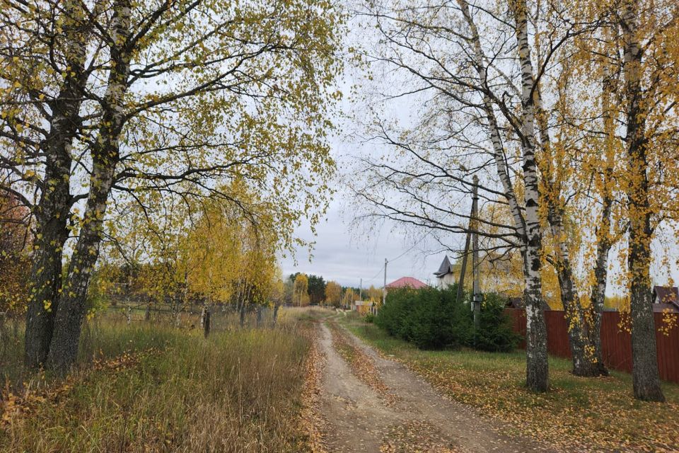 Продам дубки. Деревня Дубки. Дубки Владимирская область. Кусуново Владимирская область.